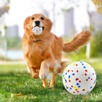 Bite Resistant Solid Dog Ball Toys for Small Large Dogs