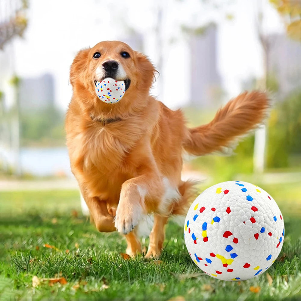 Bite Resistant Solid Dog Ball Toys for Small Large Dogs