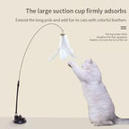 Hands-Free Cat Teaser Wand Toy with Suction Cup & Feather Bird | Interactive Kitten Play Toy