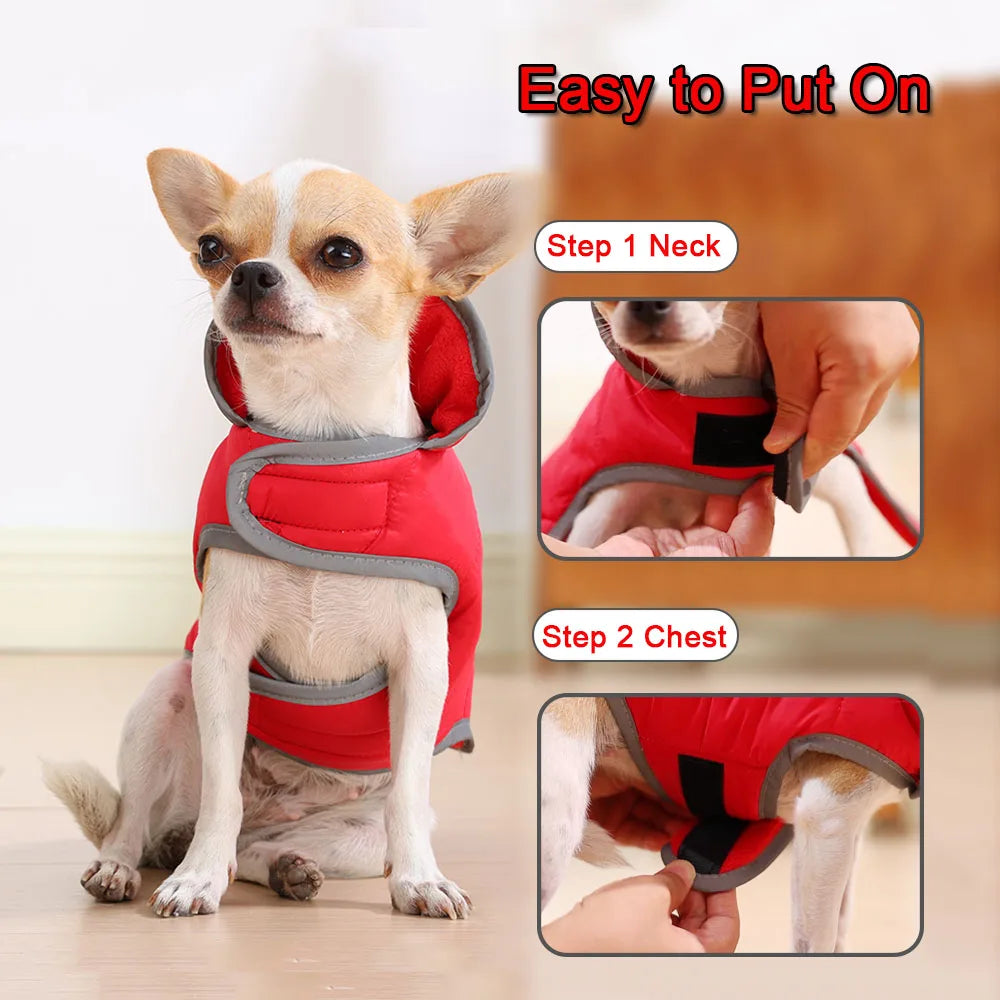 Reversible Winter Pet Coat - Reflective Warm Jacket for Small & Medium Dogs & Cats