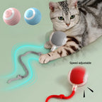 Automatic Rolling Cat Ball Toy with Teaser Bird | Rechargeable Smart Interactive Toy for Cats & Kittens