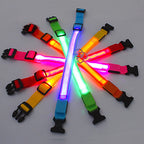 LED Glow Dog Collar | USB Rechargeable Luminous Safety Collar for Night Walks & Pet Visibility