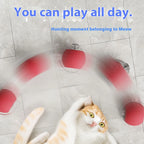 Automatic Rolling Cat Ball Toy with Teaser Bird | Rechargeable Smart Interactive Toy for Cats & Kittens