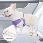 Pet Car Safety Belt for Dogs & Cats – Adjustable Nylon Vehicle Seat Belt for Small & Medium Pets