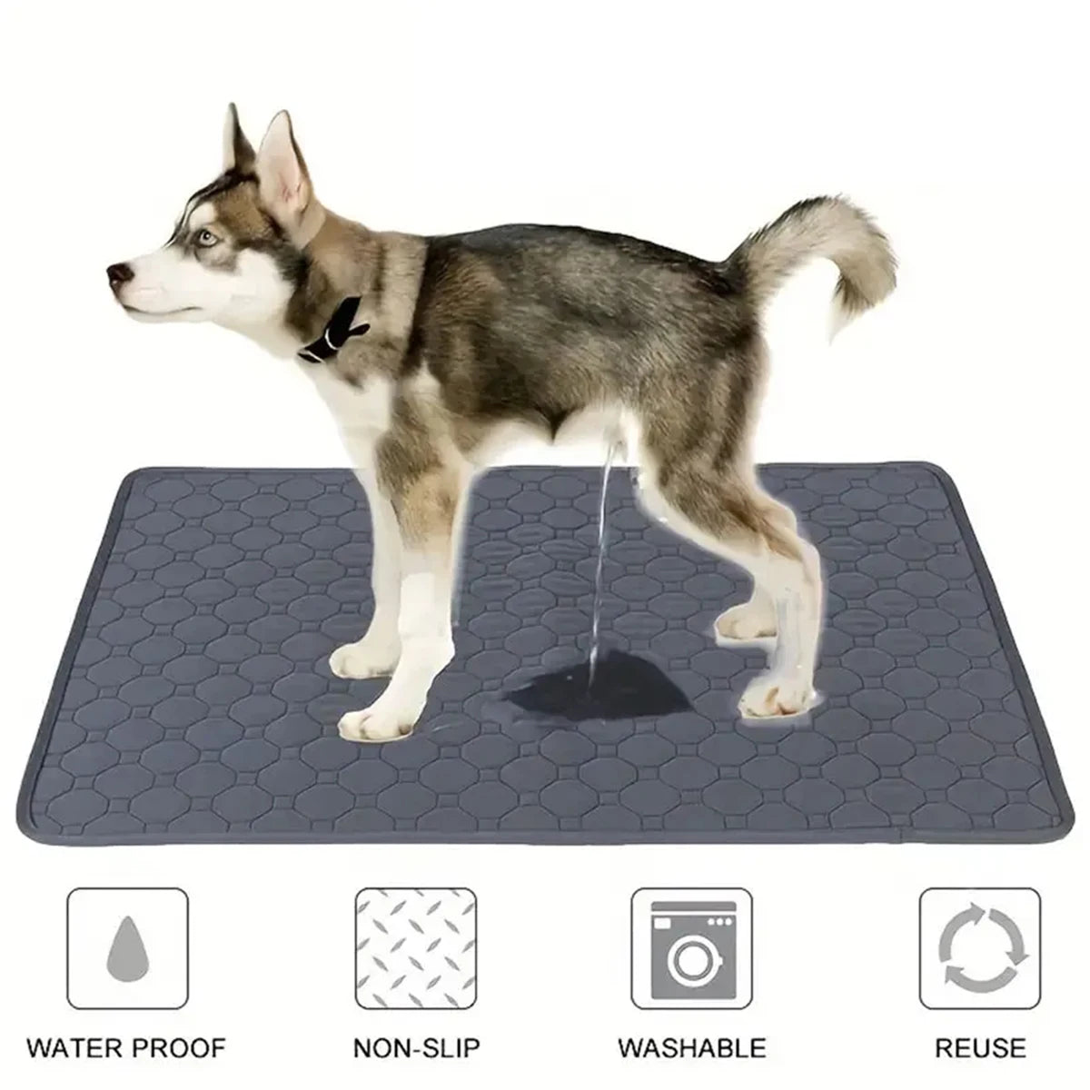 Reusable Washable Dog Pee Pad | Waterproof Absorbent Training Mat for Dogs & Cats