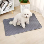 Reusable Washable Dog Pee Pad | Waterproof Absorbent Training Mat for Dogs & Cats