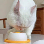 Interactive Slow Feeder Cat Bowl – Treat Dispensing Food & Water Bowl for Cats & Small Dogs