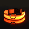 LED Glow Dog Collar – USB Rechargeable Nylon Safety Collar for Night Walking