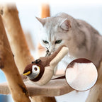 Electric Simulated Bird Cat Toy - Rechargeable Interactive Feather Kitten Toy with Catnip