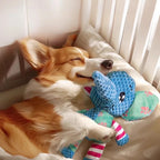 Plush Squeaky Dog Toy | Bite Resistant Interactive Chew Toy for Teeth Cleaning & Play
