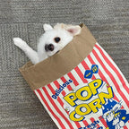 Interactive Popcorn Paper Bag Puzzle Toy for Dogs & Cats – Crinkle Treat Hiding Chew Toy