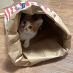 Interactive Popcorn Paper Bag Puzzle Toy for Dogs & Cats – Crinkle Treat Hiding Chew Toy