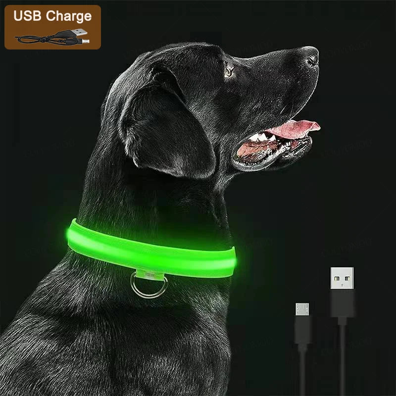 LED Glow Dog Collar | USB Rechargeable Luminous Safety Collar for Night Walks & Pet Visibility