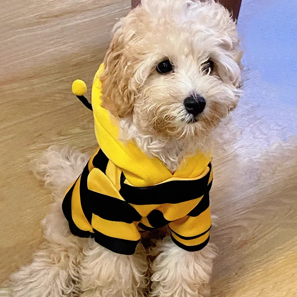 Bee Pet Costume Hoodie for Dogs & Cats