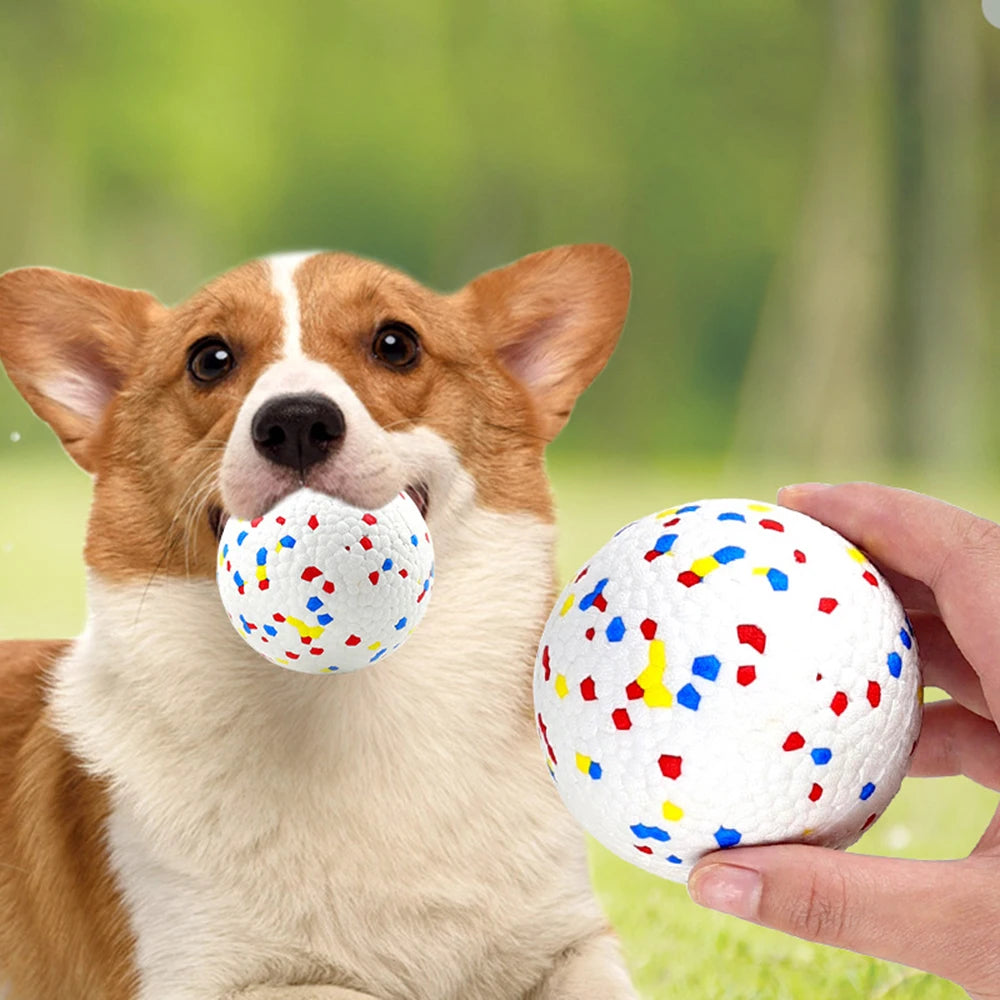 Bite Resistant Solid Dog Ball Toys for Small Large Dogs