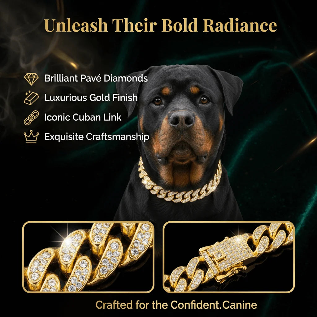 Luxury Hip Hop Dog Collar, Gold Tone Stainless Steel Cuban