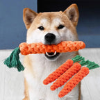 Carrot Rope Dog Chew Toy | Durable Braided Cotton Bite Toy for Puppy Teething & Dental Cleaning