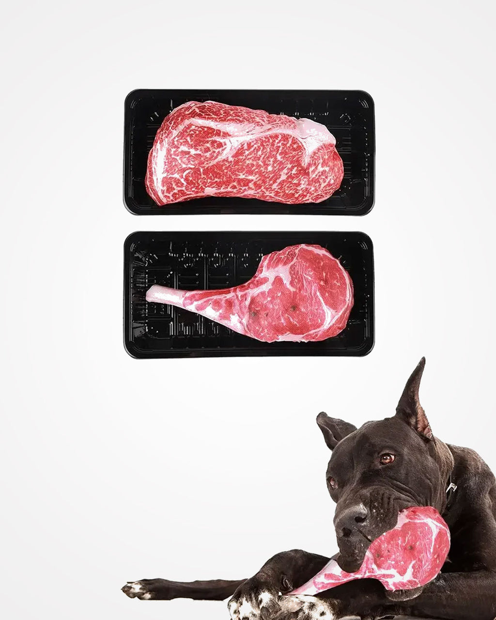 Squeaky Bone Dog Toy | Bite-Resistant Plush Chew Toy for Puppy Training & Interactive Play