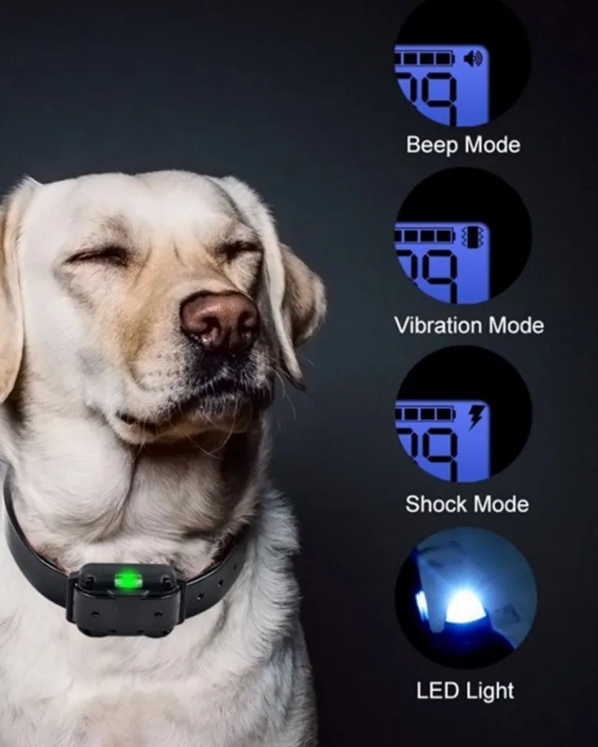 Waterproof Dog Training Collar with Remote Control | Rechargeable Anti-Bark Training Device for All Size Dogs