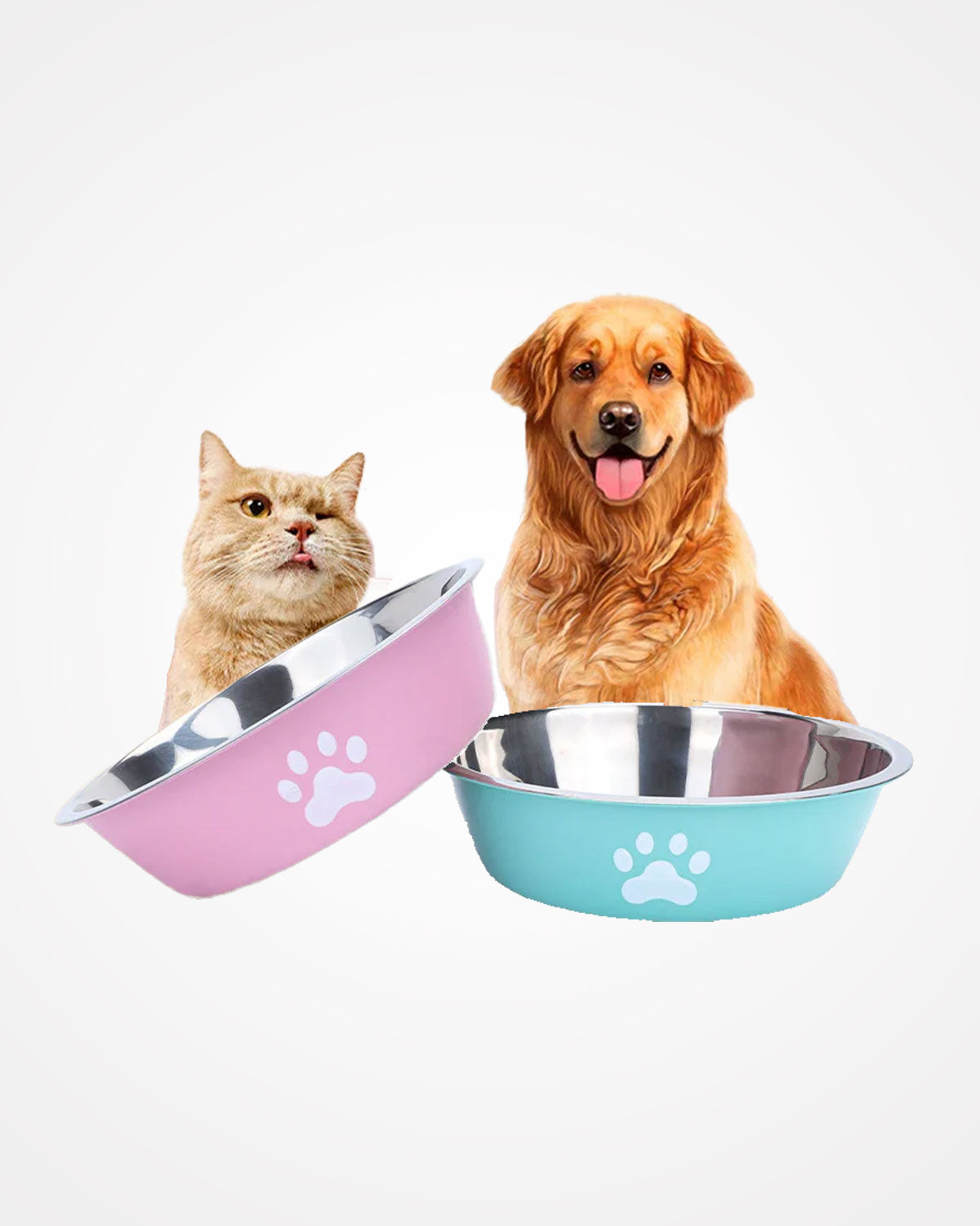 Stainless Steel Dog Bowl with Silicone Anti-Slip Base | Paw Print Pet Food & Water Bowl for Dogs & Cats