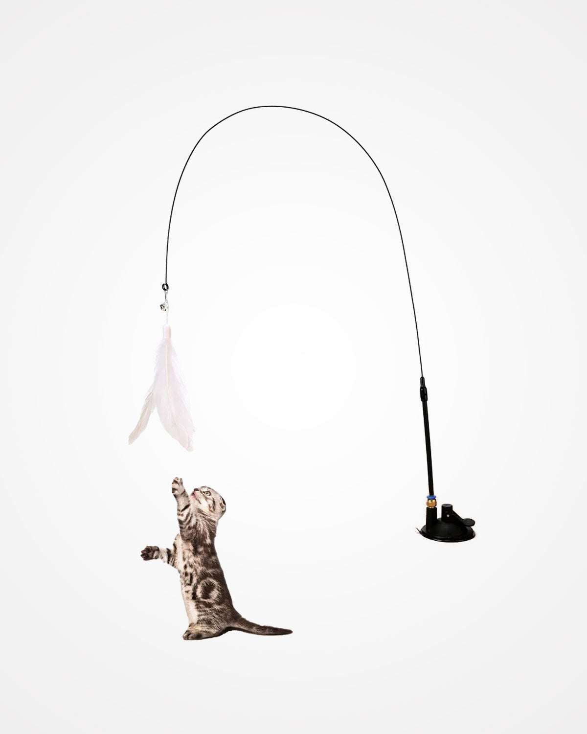 Hands-Free Cat Teaser Wand Toy with Suction Cup & Feather Bird | Interactive Kitten Play Toy