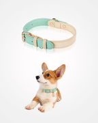 Adjustable Dog Collar