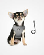 Adjustable Reflective Cat Harness & Leash Set | Escape Proof Mesh Vest for Cats & Small Dogs