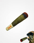 Interactive Cigar Dog Toy | Squeaky Plush Chew Toy for Puppies & Small Dogs